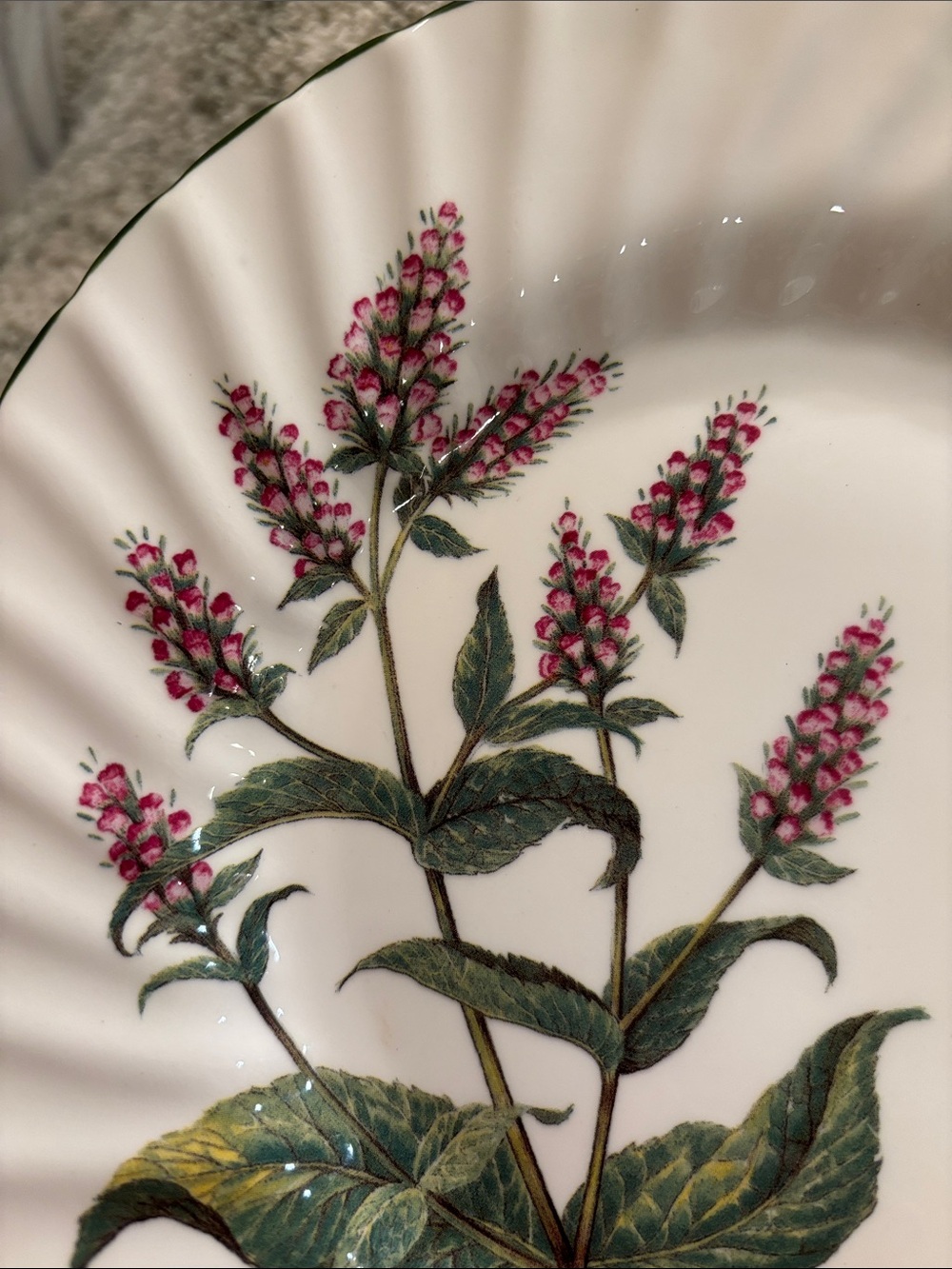 Royal Patrician Fine Bone China Pink Botanical Serve Dish England NWT 8” - Picture 3 of 14